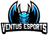 Ventus Esports