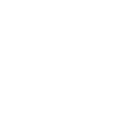 Vertex Esports Club