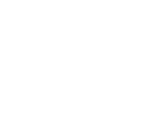 Vesselit