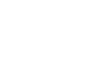 Vesselit