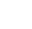 Vesselit