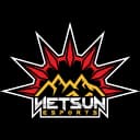 VietSun Esports