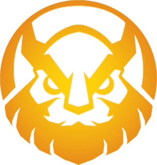Vikings Esports