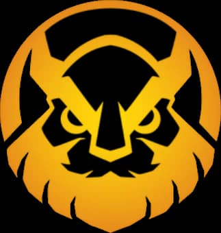 Vikings Esports Academy