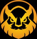 Vikings Esports Academy