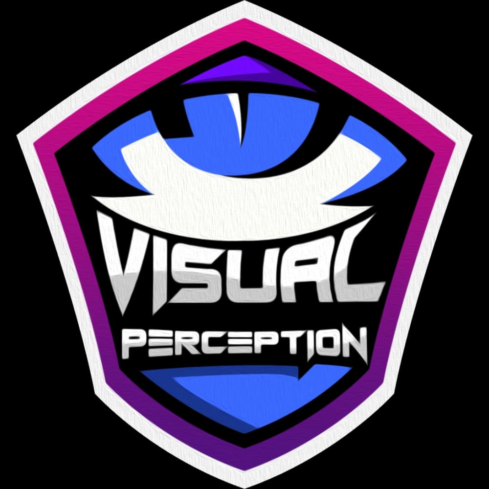 Visual Perception