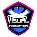 Visual Perception