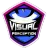 Visual Perception