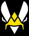 Vitality.Bee