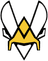 Vitality.Bee