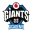 Vodafone Giants Academy