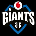 Vodafone Giants
