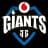 Vodafone Giants