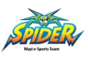 Wayi Spider China