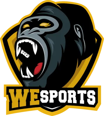 WeSports