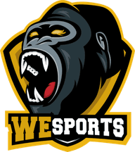 WeSports