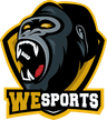 WeSports