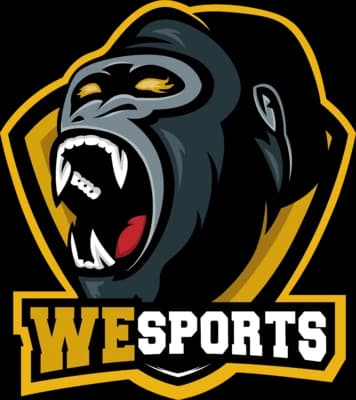WeSports