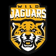 Wild Jaguars