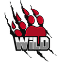 WiLD MultiGaming