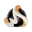 WSystem e-Sports Club