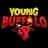 Young Buffalo