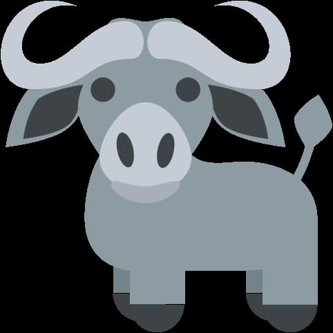 Young Buffalos