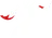Zenith eSports