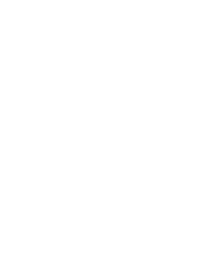 Zerolag Esports