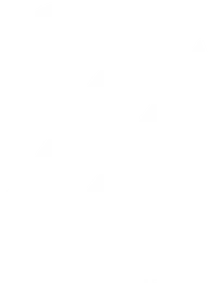 Zerolag Esports