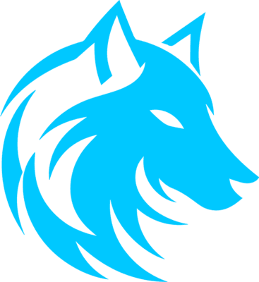 Zeu5 Esports