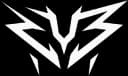 ZYB Esport