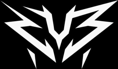 ZYB
