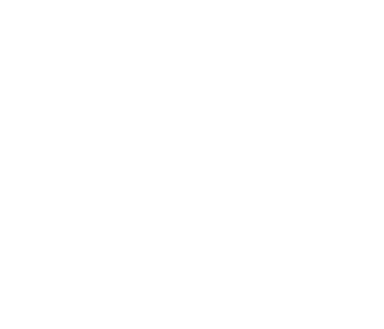Ignis Academy