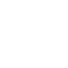 MSI 2026