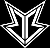 Brion Esports