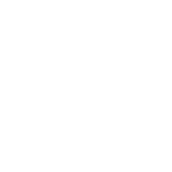 DRX Rookie