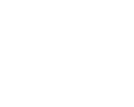 MAD Team